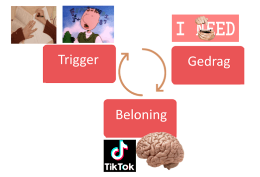 LeerGewoonte-cyclus-voor-gewoontevorming