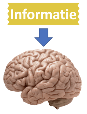 Informatie-gaat-je-brein-in