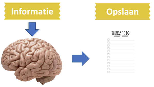 Je-brein-slaat-informatie-op